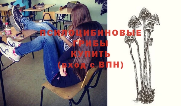 сатива Алексеевка