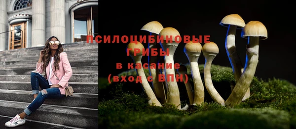 наркотики Алексин