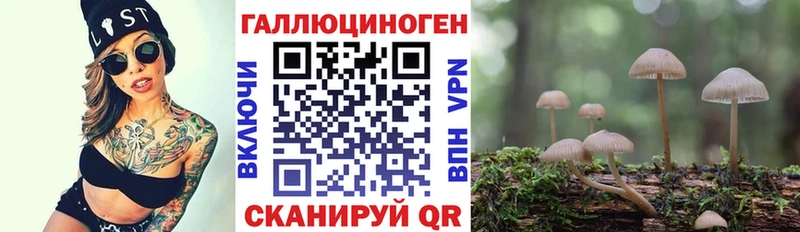 Галлюциногенные грибы Cubensis  Железногорск-Илимский 