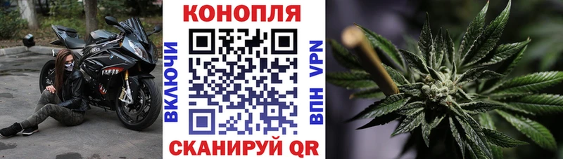 где можно купить   Железногорск-Илимский  МАРИХУАНА планчик 